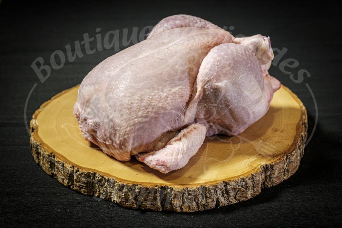 Poulet frais