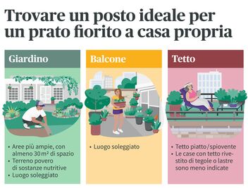 Trovare un'area ideale per un prato fiorito a casa propria