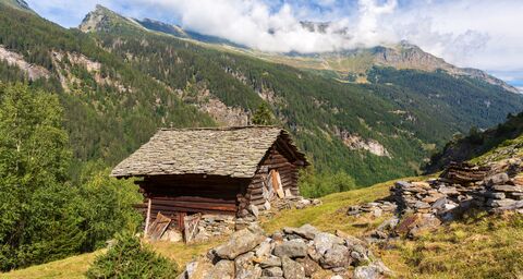 Débroussaillement dans les vallées du sud des Grisons