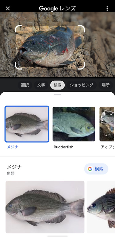 Google レンズを使うと、画像から読み込まれた情報を元にした検索結果の詳細表示や、画像中のテキスト翻訳などさまざまな操作が可能です