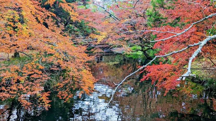 由布院・金鱗湖（きんりんこ）