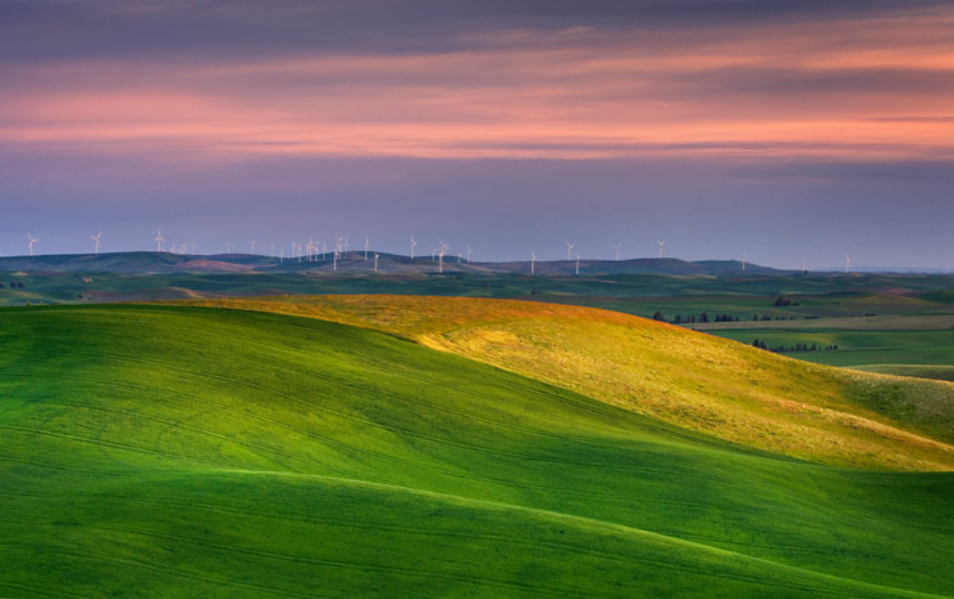 Rolling green hills with a wind farm in the distance.