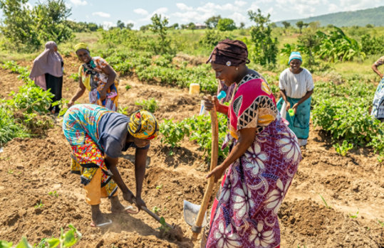 Des femmes portant des vêtements à motifs brillants et travaillant à l’extérieur dans un environnement rural.