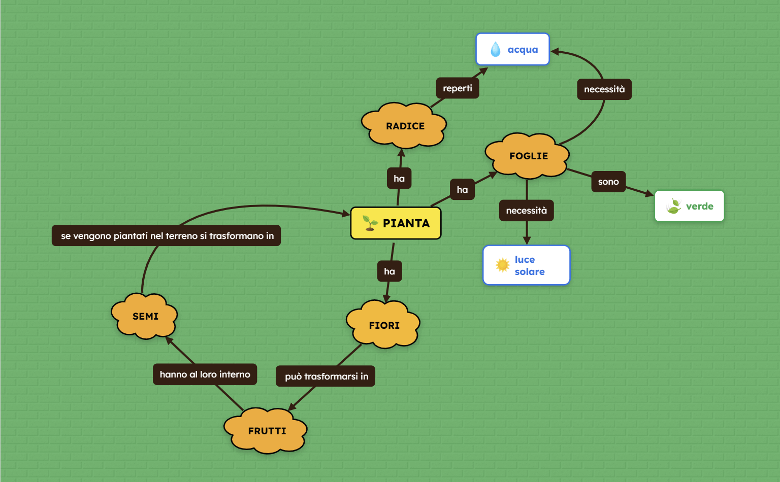 Esempio di mappa concettuale della pianta