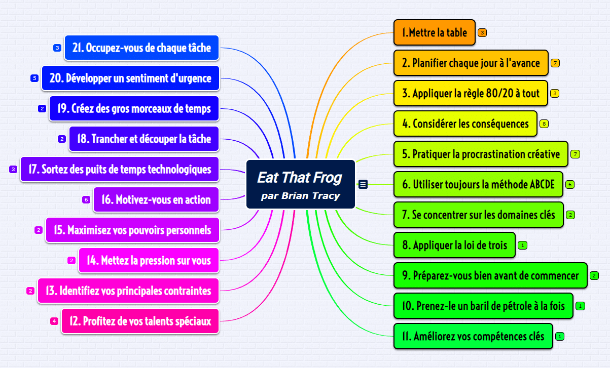 Carte mentale résumer un livre