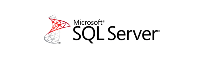 SQL Server logo