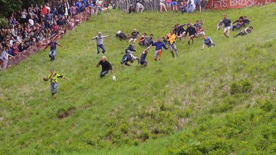 Entrants falling and tumbling over while chasing the cheese at the 2016 'Cheese Rolling' held at Cooper's Hill, in the Cotswolds, Brockworth England