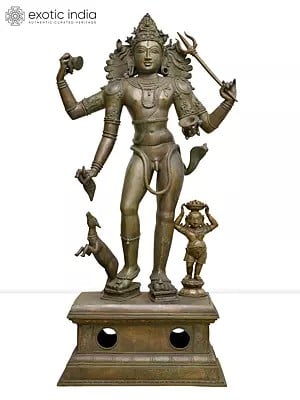 42" Large Bhikshatana Lord Shiva | Madhuchista Vidhana (Lost-Wax) | Panchaloha Bronze from Swamimalai