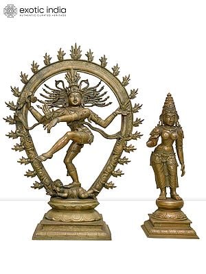 28" Lord Nataraja with Standing Devi Uma (Parvati) | Set of Two Statues | Madhuchista Vidhana (Lost-Wax) | Panchaloha Bronze from Swamimalai