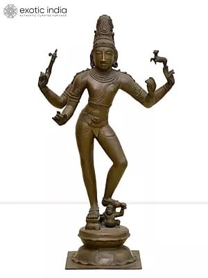 19" Standing Lord Shiva as Pashupatinath | Madhuchista Vidhana (Lost-Wax) | Panchaloha Bronze from Swamimalai