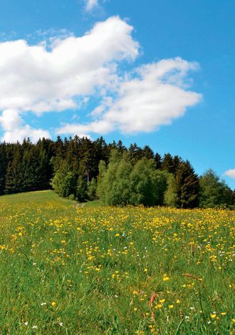 Zukunft, Energie & Ökostrom