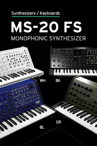 MS-20 FS