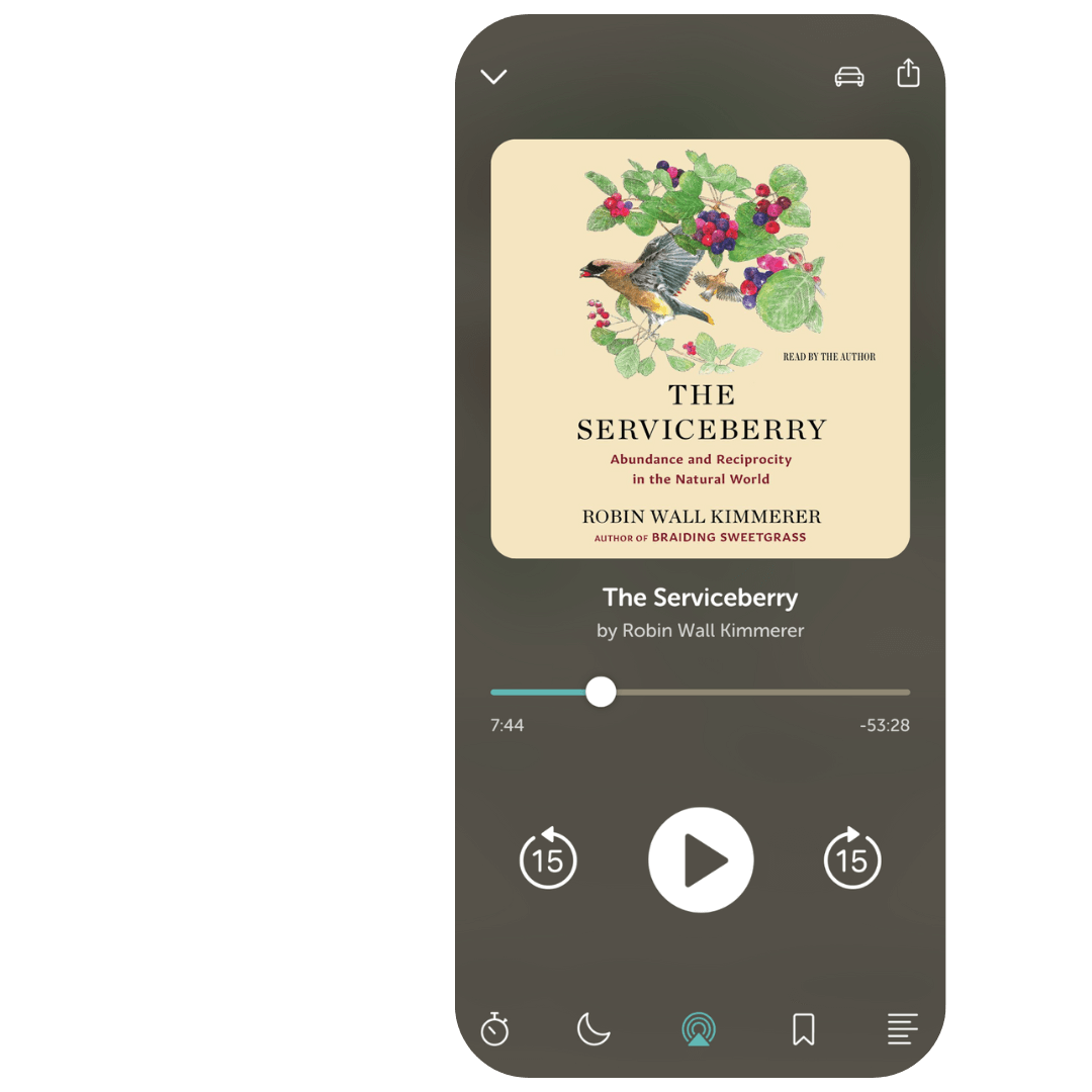 Libro.fm app playing The Serviceberry