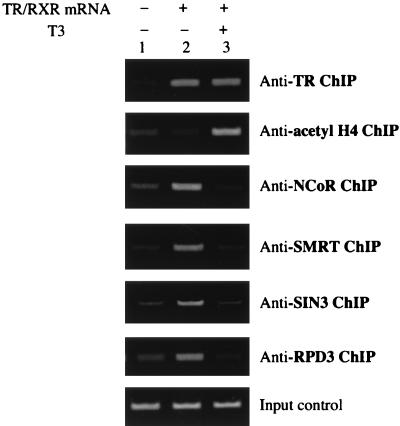 FIG. 7.