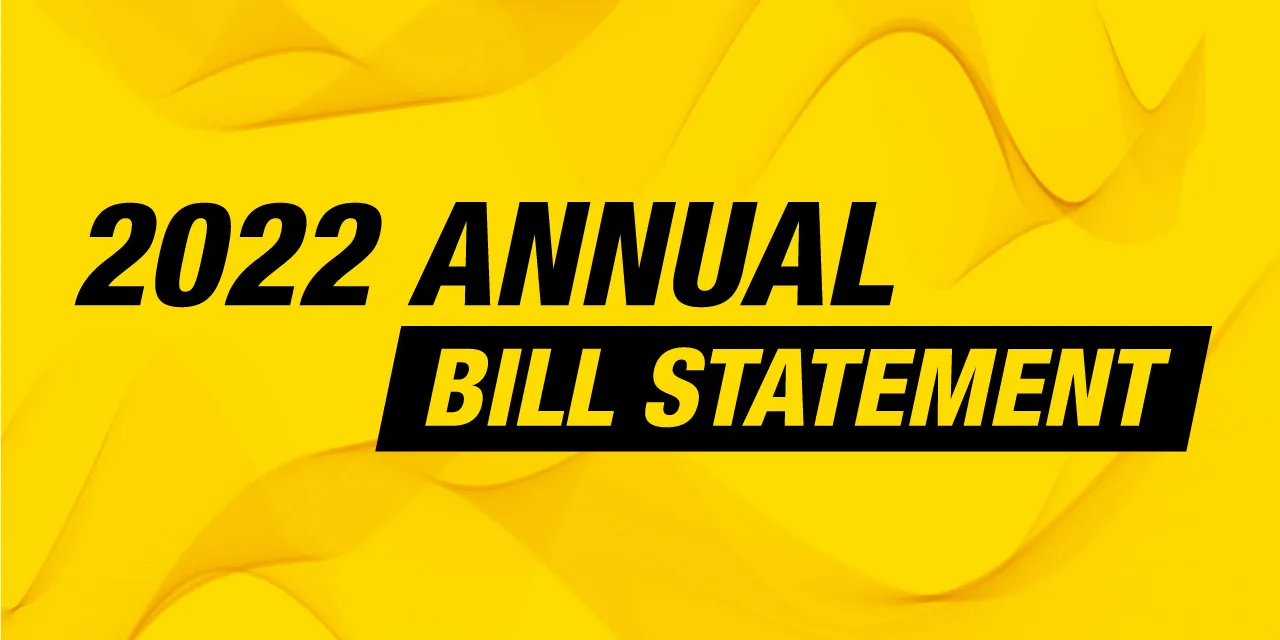 Digi 2022 Annual Bill Statement