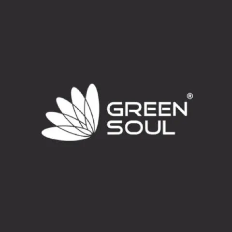 Green-Soul-Ergonomics-logo