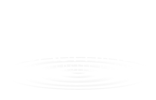 Logo Dauphine partner Piratz Labs