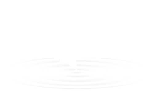 Logo Epita partner Piratz Labs