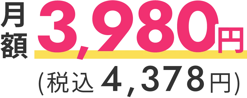 月額3,980円(税込4,378円)