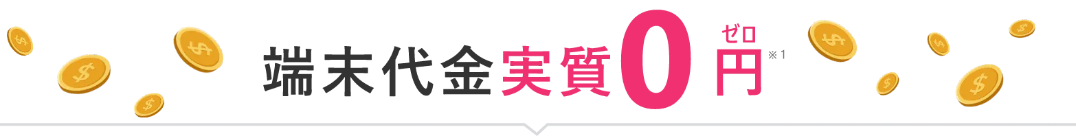 端末代金実質0円※1