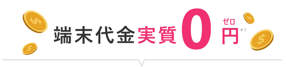 端末代金実質0円※1