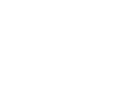 100&change logotype