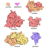 PDB-101 Focus: Peak Performance