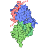 PDB-101 Focus: Peak Performance