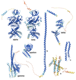 Structural Biology and Nobel Prizes