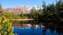 Berge und Bäume spiegeln sich im Bergsee