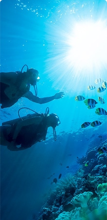 scuba diving