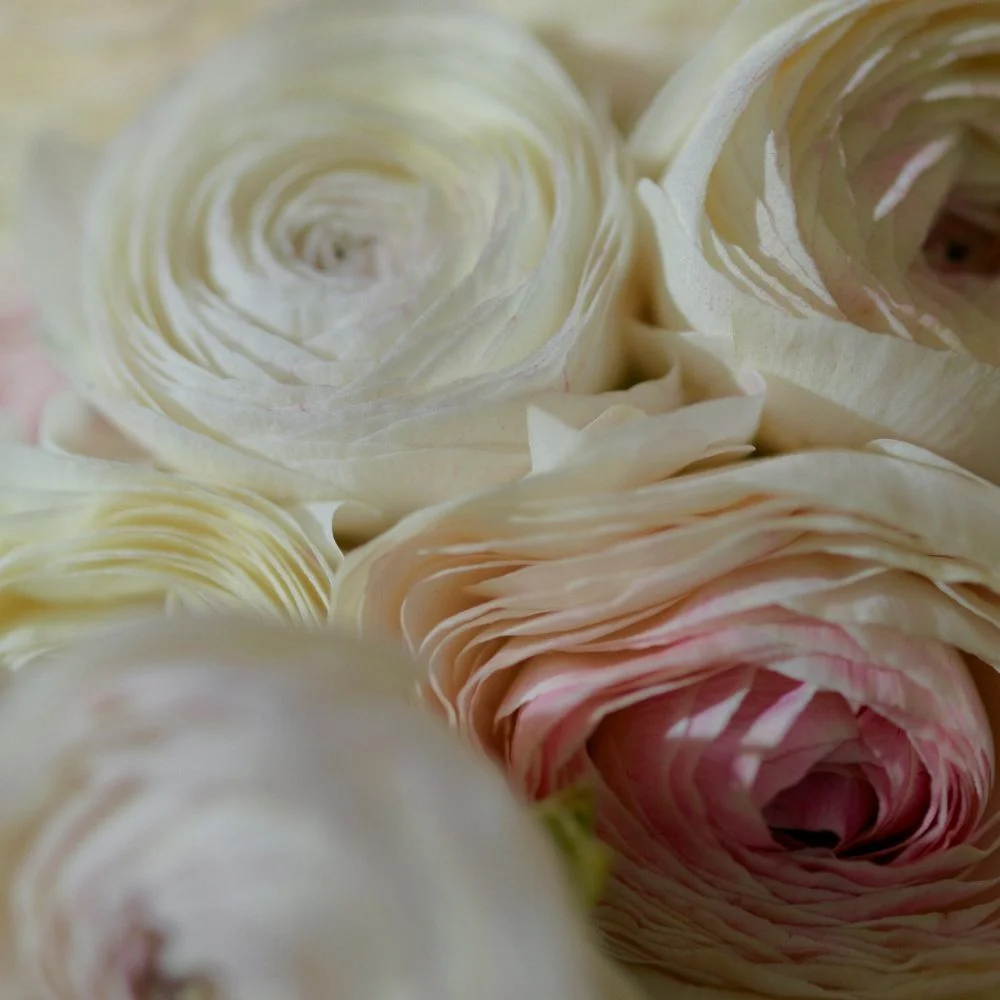 Bouquet de Renoncules, par Naturellement Fleurs, fleuriste à Rennes