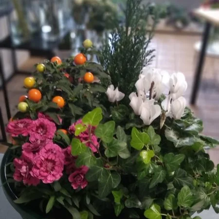 Coupe de Plantes, par Bonheur des fleurs, fleuriste à La Montagne