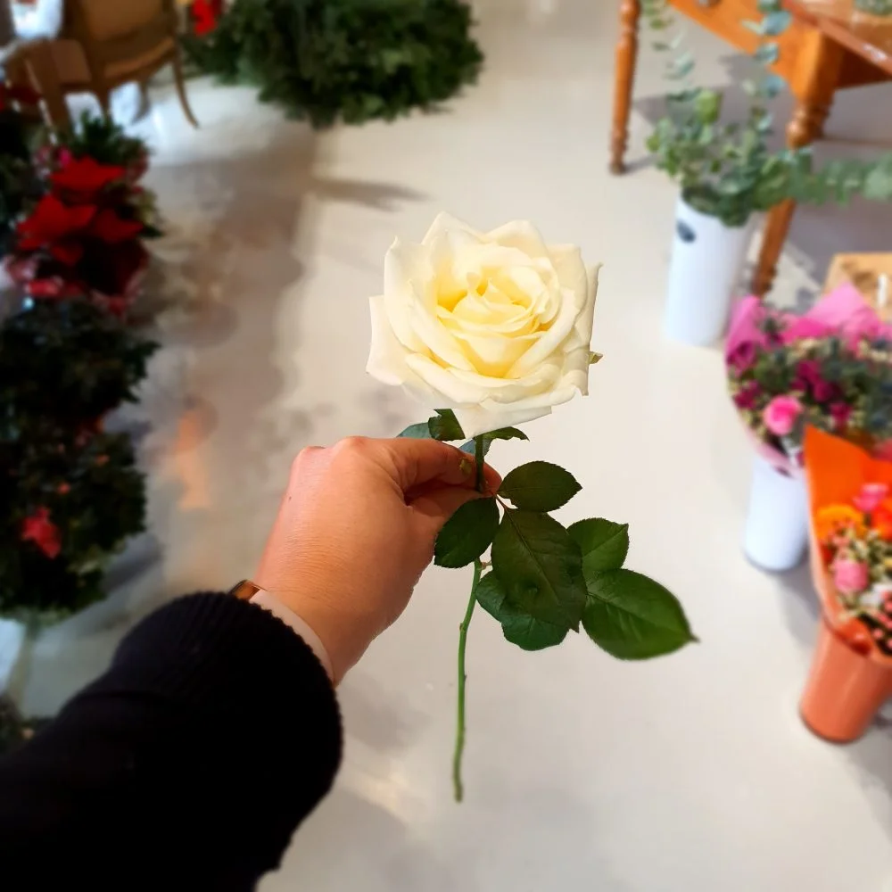 Roses Rouges ou blanches à la Tige, par Arum Fleurs, fleuriste à Sevran