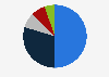 Distribution of wildfires in Brazil in 2024, by type of biome