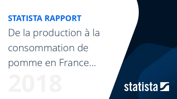 La pomme en France et dans le monde : de la production à la consommation