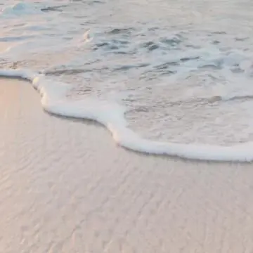 Beach Weddings