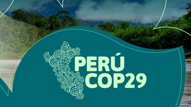 cop29