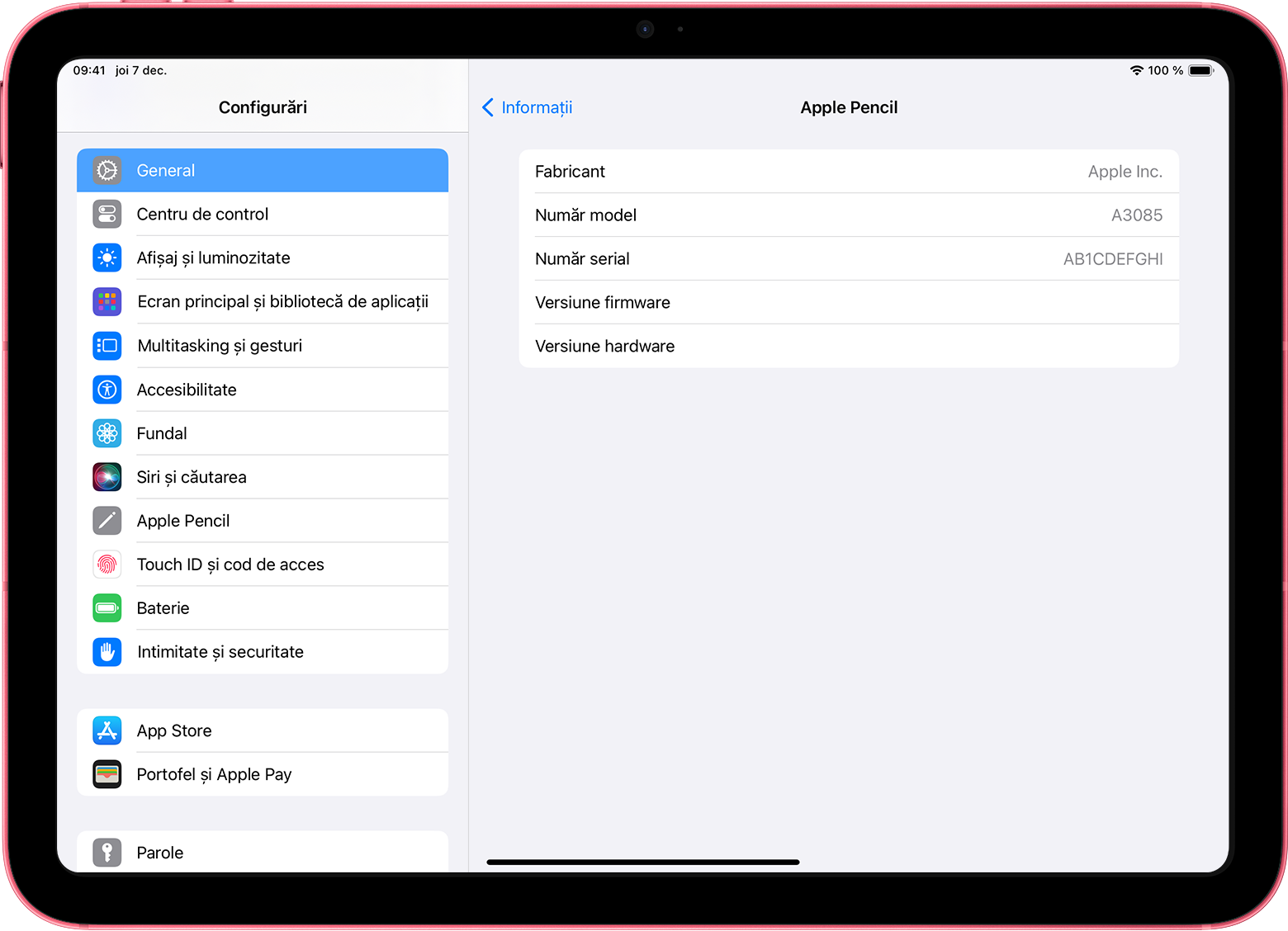 Configurări pe iPad cu numărul de serie al accesoriului Apple Pencil afișat