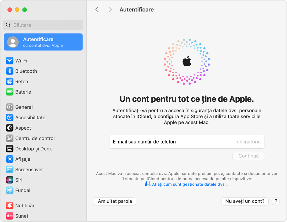 Autentificarea cu Contul Apple pe Mac