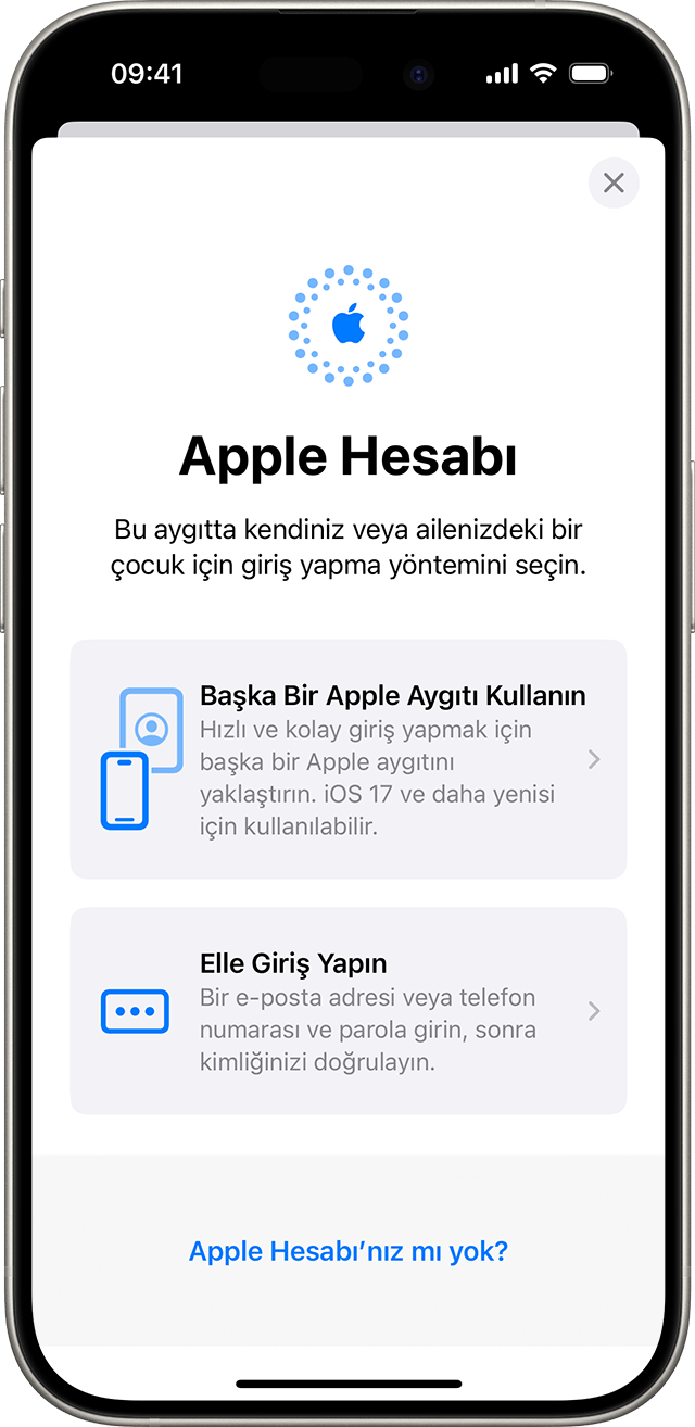 iPhone ayarlarında Apple Hesabınızla manuel olarak giriş yapabilir veya başka bir Apple aygıtı kullanabilirsiniz.