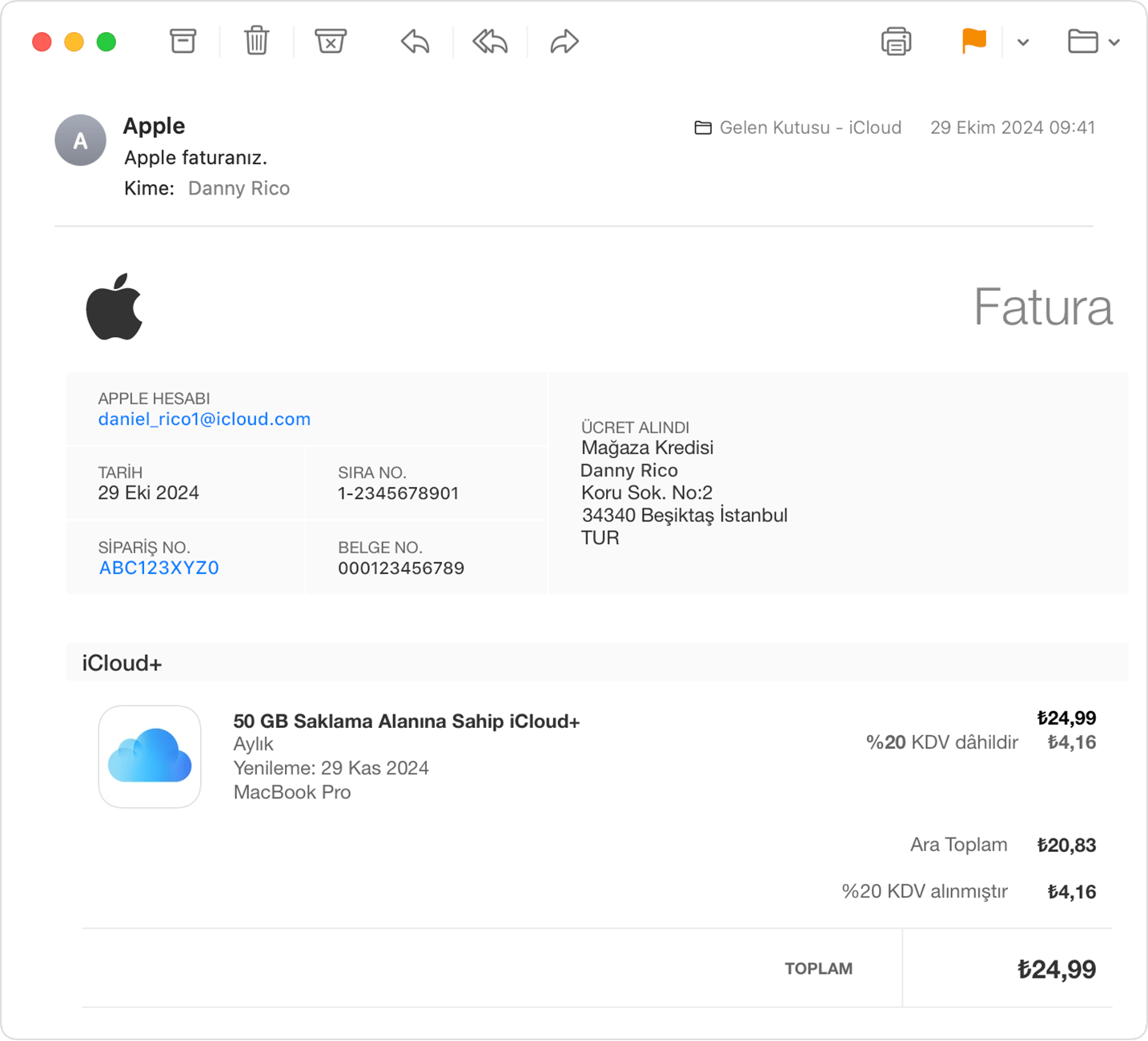 Apple'ın e-postayla gönderdiği fatura. Fatura bilgilerinde satın alma işlemiyle ilişkili Apple Hesabı gösterilmektedir.