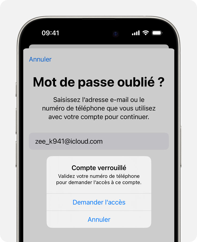 Si votre compte est verrouillé, vous pourrez envoyer une demande d’accès directement depuis l’alerte.