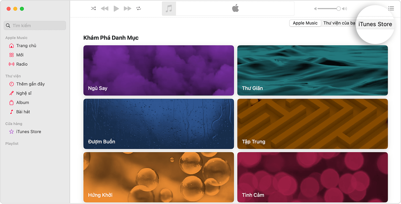 Ứng dụng Apple Music cho máy Mac đã mở mục Duyệt danh mục. Ở góc trên cùng bên phải, có các tùy chọn cho Apple Music, Thư viện của bạn và iTunes Store, trong đó iTunes Store đã được chọn.