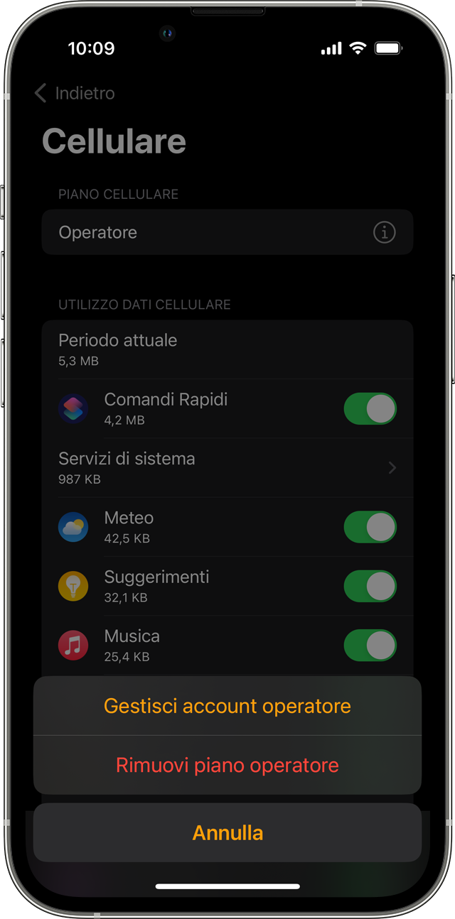 iPhone che mostra la schermata Cellulare nell'app Watch