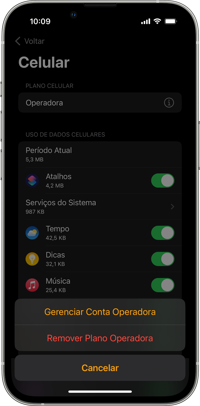 iPhone mostrando a tela Celular no app Apple Watch