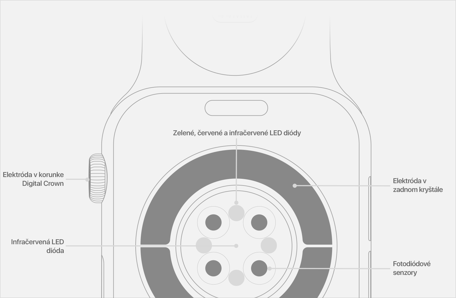 Ilustrácia zadnej strany hodiniek Apple Watch s označenými infračervenými LED diódami, senzormi s fotodiódami a elektródou v zadnom kryštáli.