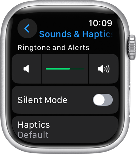 Apple Watch screen showing Sounds and Haptics settings