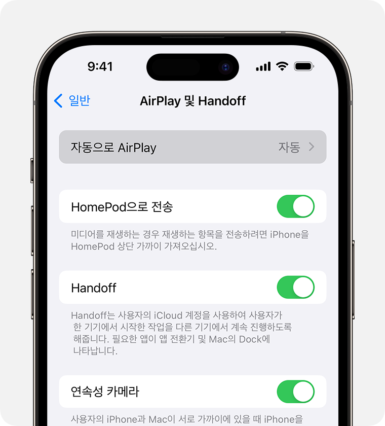 AirPlay 및 Handoff 화면에서 자동으로 AirPlay에 대해 '자동'이 선택됨