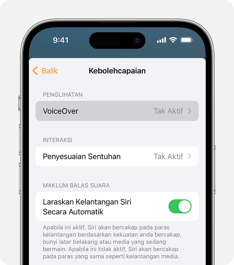 VoiceOver muncul di bahagian atas skrin seting Kebolehcapaian